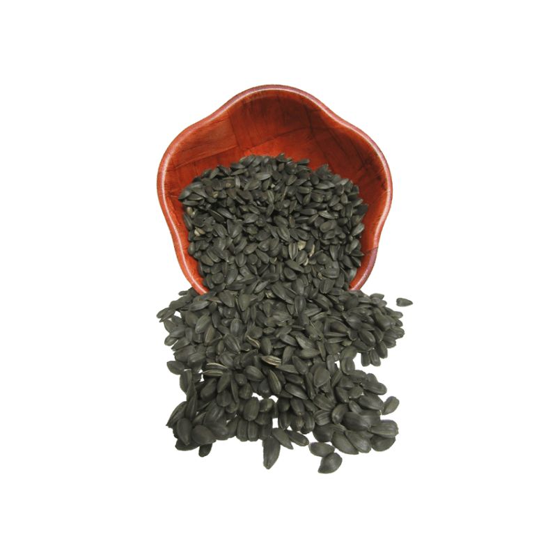 Schwarze Ölsonnenblume 25kg Preis Rabatt